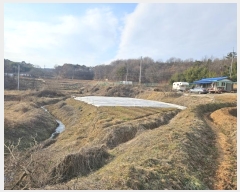  2025Ÿ��50020  ����