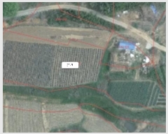  2025Ÿ��50020  ����