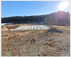  2025Ÿ��50020  ����