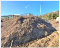  2025Ÿ��50020  ����