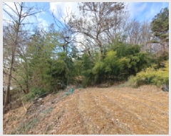  2025Ÿ��50143 �泲 ������ �۾��� ���̸� 845-3      ����(��1)���