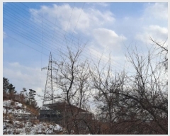  2025Ÿ��50143 �泲 ������ �۾��� ���̸� 845-3      ����(��1)���