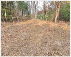  2025Ÿ��50143 �泲 ������ �۾��� ���̸� 845-3      ����(��1)���