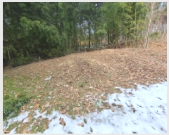  2025Ÿ��50143 �泲 ������ �۾��� ���̸� 845-3      ����(��1)���