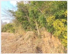  2025Ÿ��50143 �泲 ������ �۾��� ���̸� 845-3      ����(��1)���