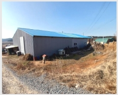  2025Ÿ��50303  â���������