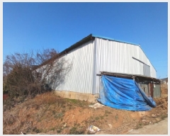  2025Ÿ��50303  â���������