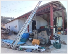  2025Ÿ��50303  â���������