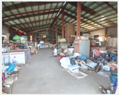  2025Ÿ��50303  â���������