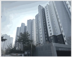  2025Ÿ��50972  ����Ʈ���