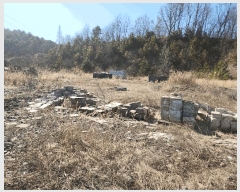  2025Ÿ��50980  �Ӿ߰��