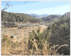  2025Ÿ��50980  �Ӿ߰��