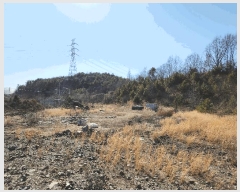  2025Ÿ��50980  �Ӿ߰��