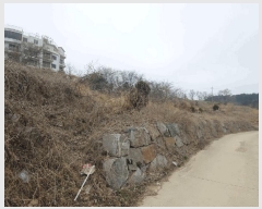  2025Ÿ��51064  �Ӿ߰��