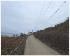  2025Ÿ��51064  �Ӿ߰��