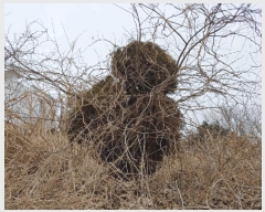  2025Ÿ��51064  �Ӿ߰��