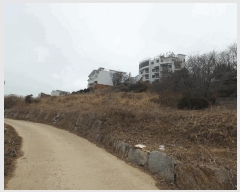  2025Ÿ��51064  �Ӿ߰��