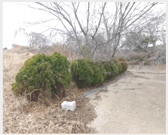  2025Ÿ��51064  �Ӿ߰��