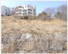  2025Ÿ��51064  �Ӿ߰��