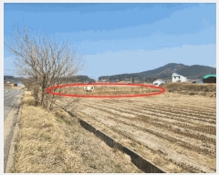  2025Ÿ��51090 �泲 �¾ȱ� �ҿ��� �ø� 474-4      ����(��1)���