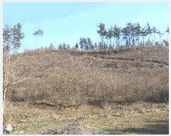  2025Ÿ��51170  �Ӿ߰��