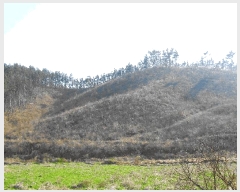  2025Ÿ��51170  �Ӿ߰��