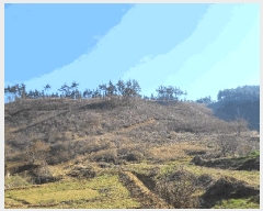  2025Ÿ��51170  �Ӿ߰��