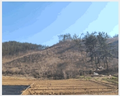  2025Ÿ��51170  �Ӿ߰��