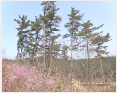  2025Ÿ��51170  �Ӿ߰��