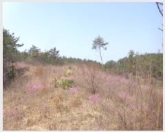  2025Ÿ��51170  �Ӿ߰��