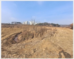  2025Ÿ��56  ����