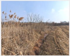  2025Ÿ��56  ����