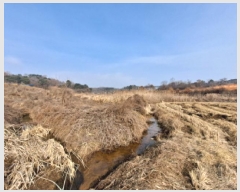  2025Ÿ��56  ����