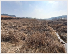  2025Ÿ��56  ����