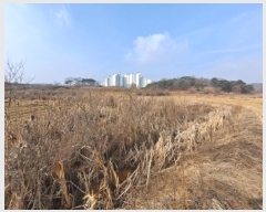  2025Ÿ��56  ����