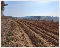  2025Ÿ��56  ����