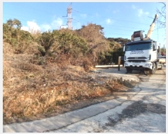  2025Ÿ223 泲   θ 884      ()