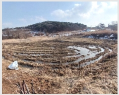  2025Ÿ452 泲    64      ()