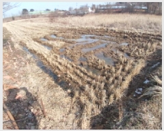  2025Ÿ452 泲    64      ()