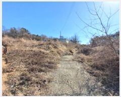  2025Ÿ525 泲  մ  125      ,â