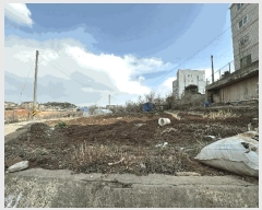  2025Ÿ528 泲   Ż긮 12-28      (1)