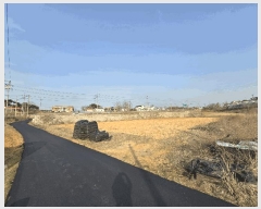  2025Ÿ539 泲    127      ()