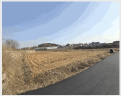  2025Ÿ539 泲    127      ()