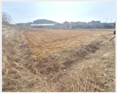  2025Ÿ539 泲    127      ()