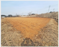  2025Ÿ539 泲    127      ()