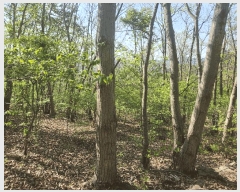  2025Ÿ��601  �Ӿ߰��