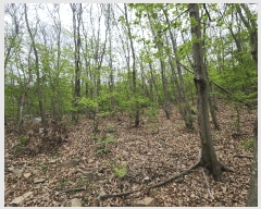  2025Ÿ��601  �Ӿ߰��