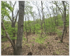  2025Ÿ��601  �Ӿ߰��