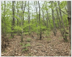  2025Ÿ��601  �Ӿ߰��