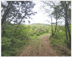  2025Ÿ��601  �Ӿ߰��